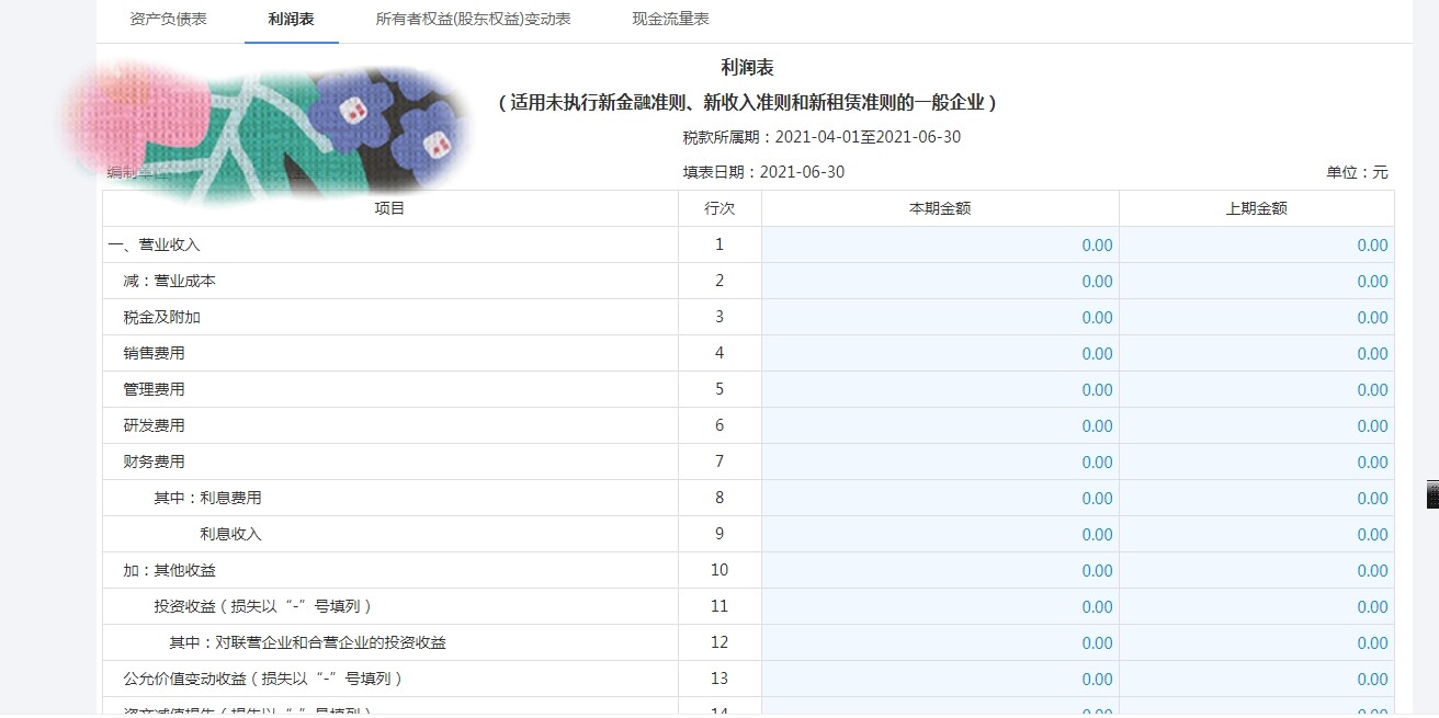老师您好，请问小规模季度报财务报表第二季度利润表，本期金额和上期金额怎么填写？本期金额是写1——6月利润表地本年累计数-14306，还是写4——6月本月数-7125，上期金额是写去年1——6月本年累计数-7466.74，还是写去年4-6月本月数-2334.6元