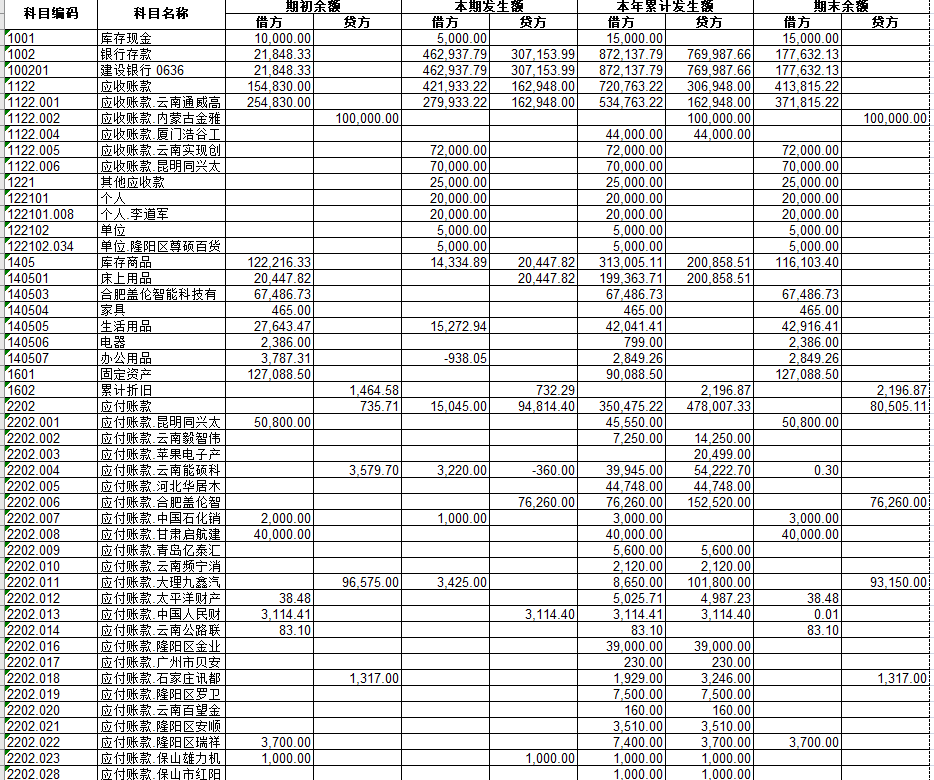 老师，这是一份科目余额表，能不能帮我看一下是否有问题？