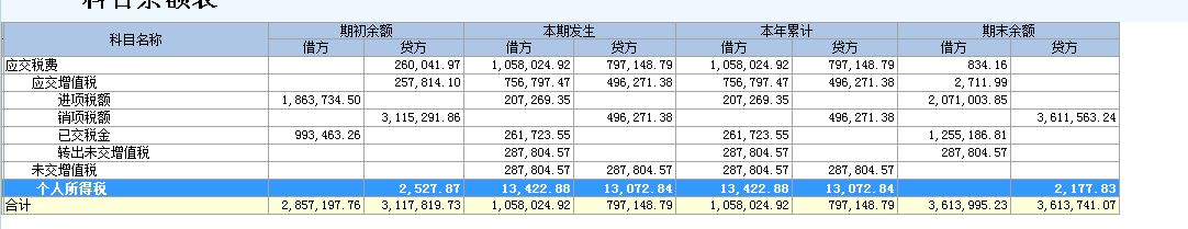 我之前报税的时候应缴税费  每次都在贷方有很多余额   这次在借方 金额还很小  我申报报表就这样填吗  好像哪里不对