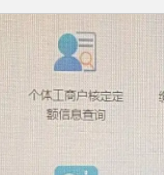  税种核定信息查询 ；   去看看这个  