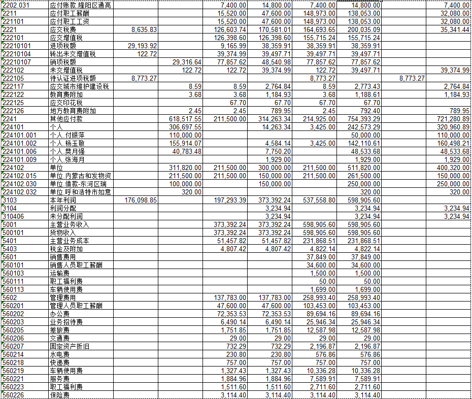 老师，这是一份科目余额表，能不能帮我看一下是否有问题？