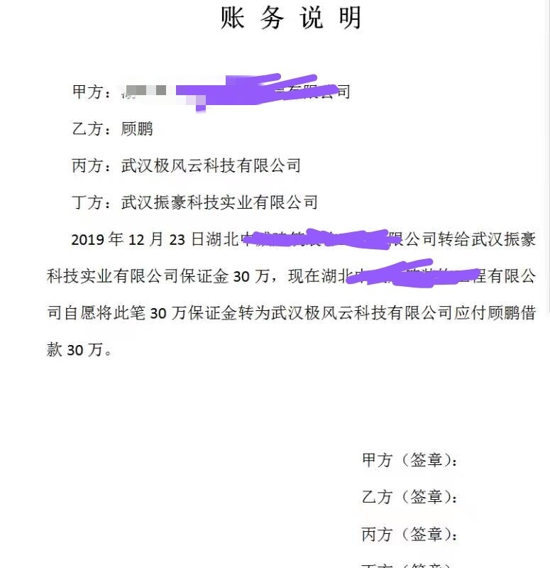 老师还是刚才的一件事，挂靠人让我们盖章，我们是甲方，实际涉及是三方，这个签字还把第四方武汉极风扯进来了是什么意思，这个账务说明太含糊了搞不懂。