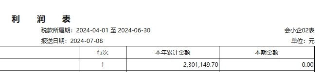 这两张报表，只需要填写本年累计数。