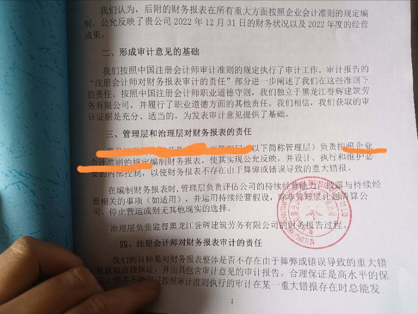 请问老师，我们公司执行的是小企业会计准则，给我的审计报告里如附图写的企业会计准则和企业会计制度，请问这对吗？我和对方沟通，他说这是固定模版不能修改。可我认为应该按真实情况出具报告才对吧，麻烦老师给细说说