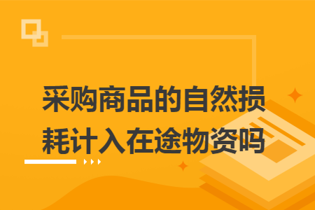 采购商品的自然损耗计入在途物资吗