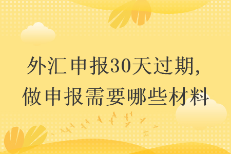 外汇申报30天过期,做申报需要哪些材料