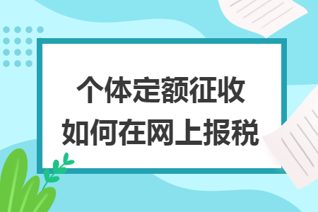 个体定额征收如何在网上报税