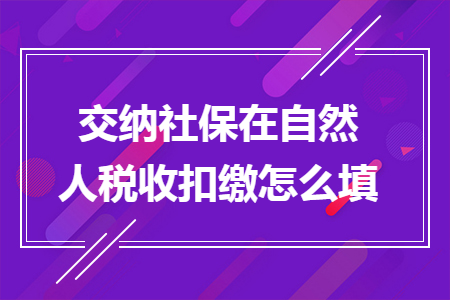 交纳社保在自然人税收扣缴怎么填