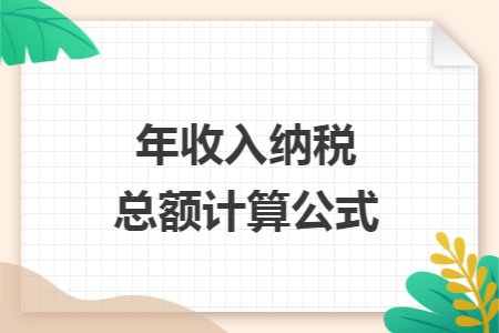 年收入纳税总额计算公式