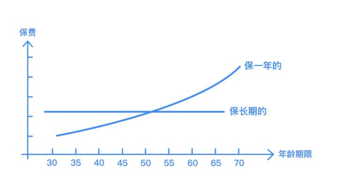 一年期的保险是真便宜,哪些值得买?哪些不值得买?