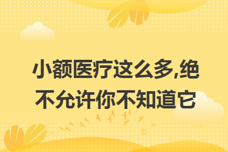 小额医疗这么多,绝不允许你不知道它