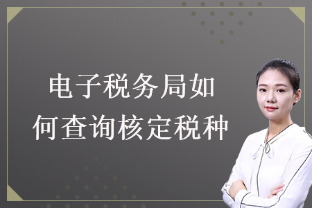 电子税务局如何查询核定税种